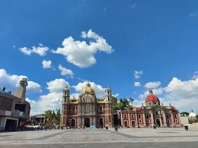 Image of Basilica of Our Lady of Guadalupe
