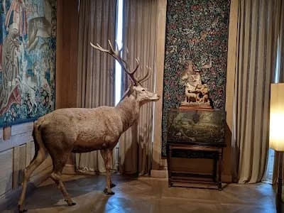 Image of Museum of Hunting and Nature
